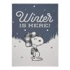 North Star Peanuts Winter is Here Throw