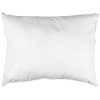 Sham Pillow Insert